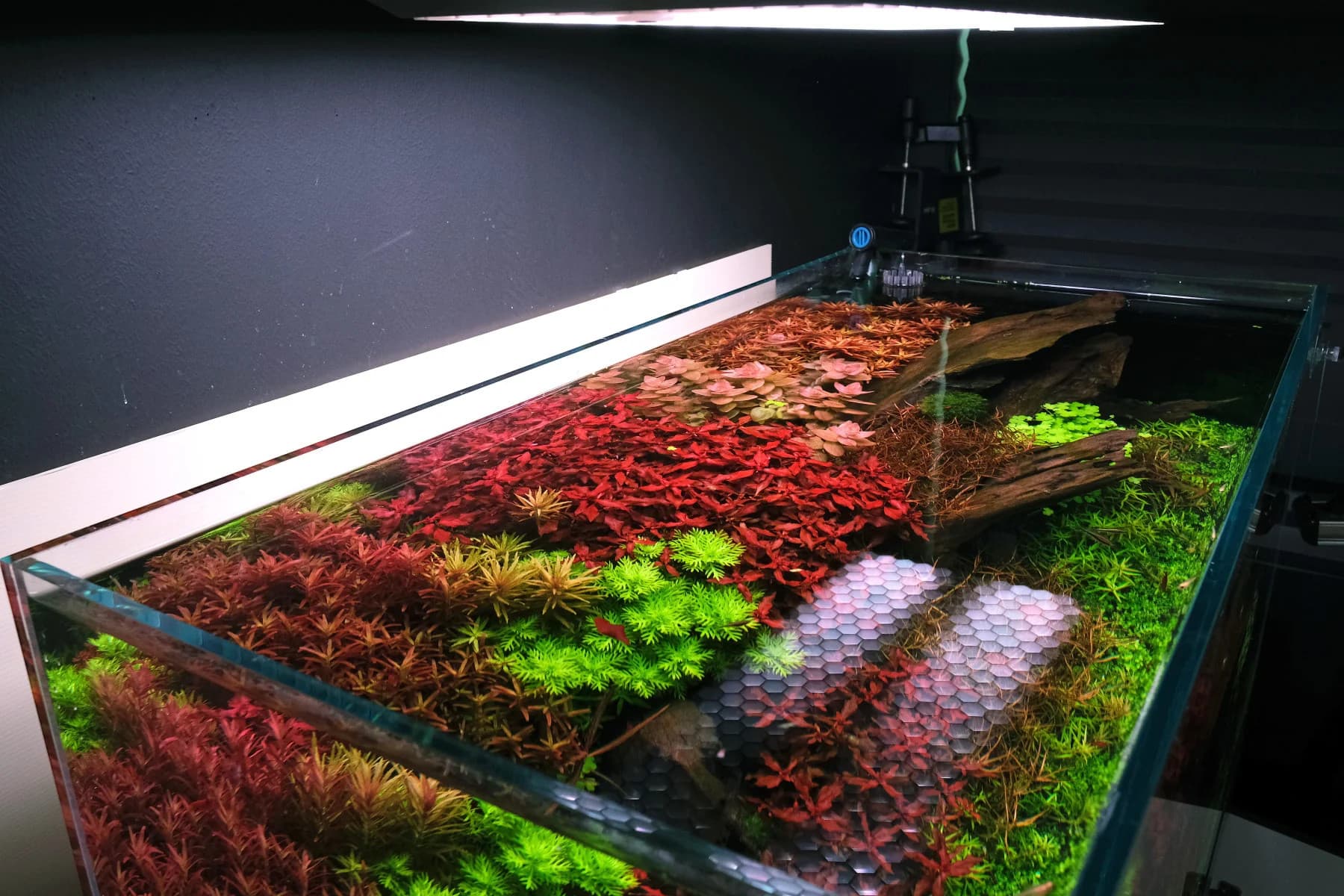 Висящата лампа предлага лесен достъп LEDSTAR AQ-X Висящата лампа предлага лесен достъп LEDSTAR AQ-X